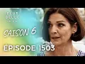 Download Lagu Saison 6, Épisode 1503 - PLUS BELLE LA VIE | Sybille refuse de passer le bac...