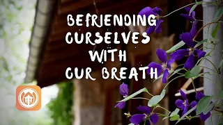 befriending ourselves with our breath sister dang nghiem