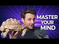 Tim Urban on Procrastination Free Will and AI