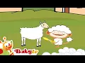 Download Lagu Olivier | Schapen scheren 🐏 | Tekenfilms voor kinderen @BabyTVNL