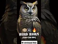 Download Lagu 📢COMPETITION HORN🙉|BIRD HORN(CHIV-CHIV MIX)|UNRELEASED TRACK|#competition #music