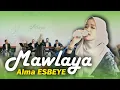 Download Lagu MAWLAYA - ALMA ESBEYE // DALAM RANGKA AQAD NIKAH PUTERI BAPAH H. MAHFUD DI LAMONGAN