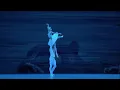 Tchaikovsky - Swan Lake Act 2 No  14 Scene (Bolshoi Ballet, 20150125)