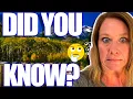 Pros Cons of Living in Flagstaff Arizona Moving to Flagstaff Arizona Flagstaff AZ Homes
