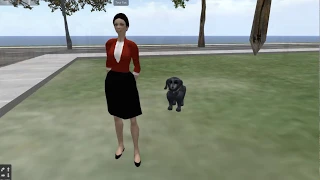 Assignment 3 Create Your Own OpenSim