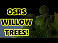 Where To Find Willow Trees In OSRS For Fresh Start Worlds