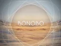 Maya Jane Coles - Something In The Air (Bonobo Remix) (Official Audio)