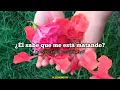 Sara Kays - Show Me Off (Español + Lyrics) 𑁍