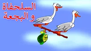 السلحفاة و البجعة قصص اطفال كرتون اطفال قصص العربيه قصص اطفال قبل النوم Arabic Story 
