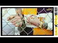 Gzuz feat. Bonez MC - Was erlebt