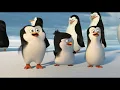 Delulu Delulu Song Cartoon penguins Scene 