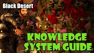 Black Desert Knowledge System Guide More Energy Amity Better Drop Rate - How to Get Knowledge