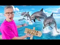 Download Lagu BERBURU LUMBA-LUMBA DI PANTAI LOVINA!!