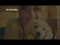 Marshmello, Bastille - Happier (Sub. Español/Lyrics)