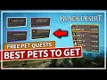 Best Pets to Get How to get them for FREE in Black Desert