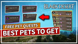 Best Pets to Get How to get them for FREE in Black Desert