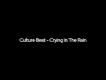 Download Lagu Culture Beat - Crying In The Rain