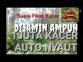 Download Lagu Download Suara Pikat Kacer MP3 full isian
