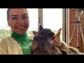 What It s Like Owning A Maine Coon