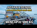 Lagu PANTAS NELAYAN BAGAN BESAR PENDAPATAN NYA.....SETIAP SATU KELAM MENCAPAI, 4 TON CUMI-CUMI