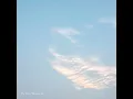 The Earth Can Wait - Sugar Candy
