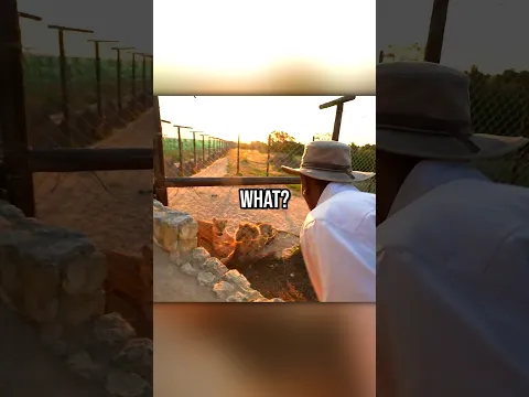 Rakai Tries Rage Baiting A Lion! 💀😭