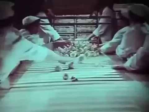 Malj