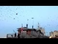 Duke Riley Fly By Night Jaime Rojo BrooklynStreetArt CreativeTime Brooklyn Navy Yard May 07 2016