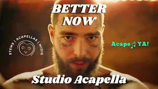 Post Malone - Better Now (Studio Acapella)