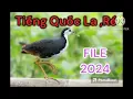 Download Lagu Tiếng La , Ré Của Chim Quốc Trống , Mái #Kimmaosuvuong #quocmoi #tiengchimquoc