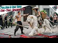 Download Lagu Pengemis Pulang Dari Perbatasan, Dihalang Preman, Mata Dewa Membuat Mereka Tumbang Seketika