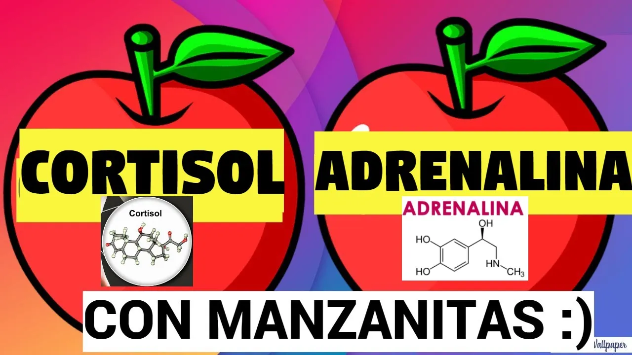 CORTISOL Y ADRENALINA CON MANZANITAS | Estrés alto