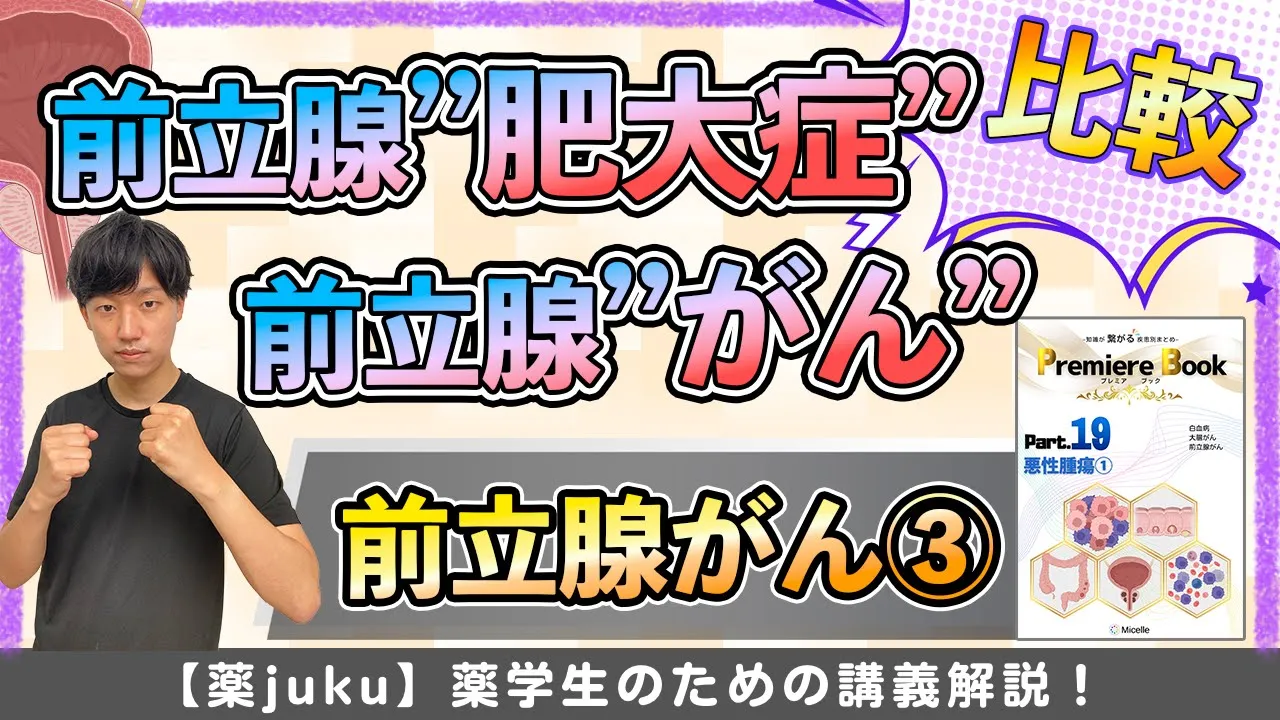【ココまでわかればOK】前立腺