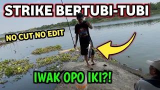 Sampe Pemancing Sebelah Minder Padahal Cuma Umpan Cacing Berasa Spot Pribadi Mancing Di Sini