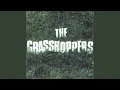 Download Lagu Crosstown Bus