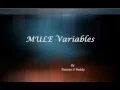 Mule Variables Demonstration