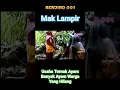Download Lagu Mak Lampir Usaha Ternak Ayam Banyak Ayam Warga Yang Hilang#Shorts
