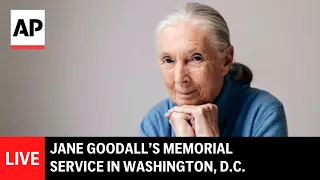 LIVE Jane Goodall S Memorial Service In Washington D C 
