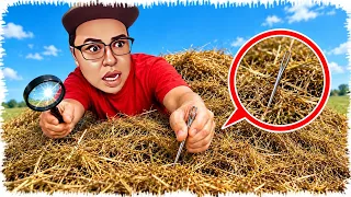 24-сағат Шөптің арасынан Ине іздедім | Нерв ойын болды!
