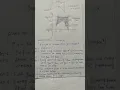 SCAN LINE POLYGON FILL ALGORITHM