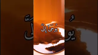 تلاوة نادره حالات واتس قرآن 