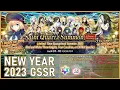 FGO NA New Year s 2023 Guaranteed SSR Banner