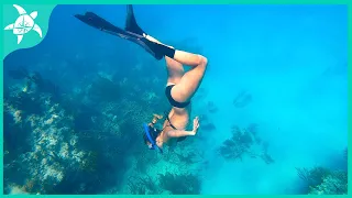 FUN things around GEORGE TOWN, BAHAMAS!