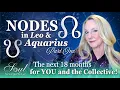 The World Is Entering a New Destiny Leo Aquarius Lunar Nodes are changing our Fate Part 1