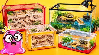 ทำเทอร์ราเรียมเต่าและมดจิ๋วจากกระดาษลัง! 🐢🐜 งานประดิษฐ์จำลองธรรมชาติ DIY