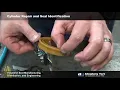 Hydraulic Seal Identification