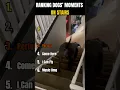 Ranking Dogs Moments on Stairs I \