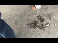 Candid girl smoking spit spits puddle