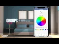 Using Groups in the Feit Electric Smart Wi-Fi Mobile App