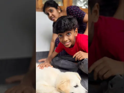 Tom&Jerry🥰Wait For End ❤️ #krishnaavyu #shortvideo #shorts